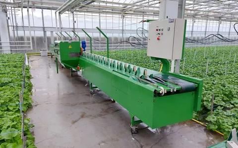 Bloemverwerkingslijn